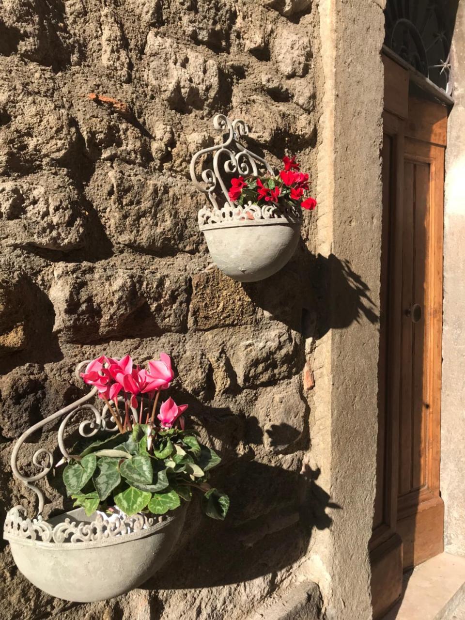 Il Gallo Viterbo Exteriör bild